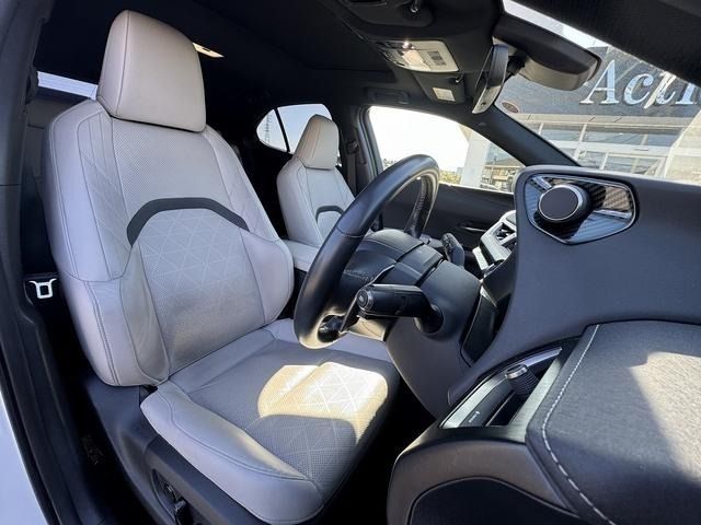 TOYOTA LEXUS UX250H 2021 Image 31