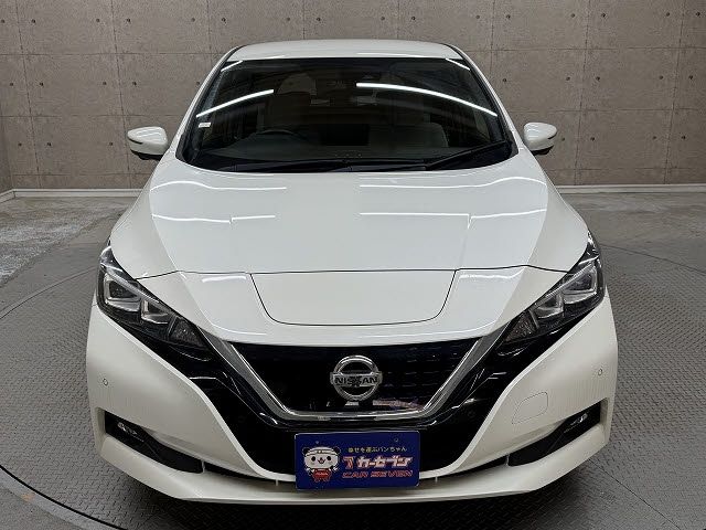 NISSAN LEAF 2019 Image 31