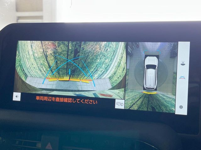 TOYOTA LANDCRUISER 250 2024 Image 31