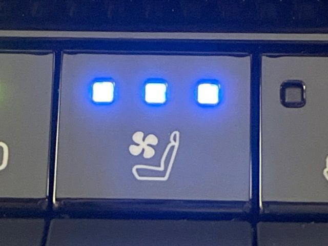 TOYOTA LANDCRUISER 250 2024 Image 31