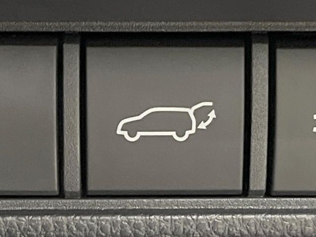 TOYOTA LANDCRUISER 250 2024 Image 31