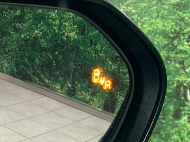 TOYOTA C-HR 2017 Image 31