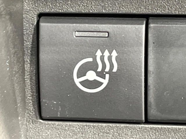 SUZUKI SPACIA CUSTOM 2025 Image 31