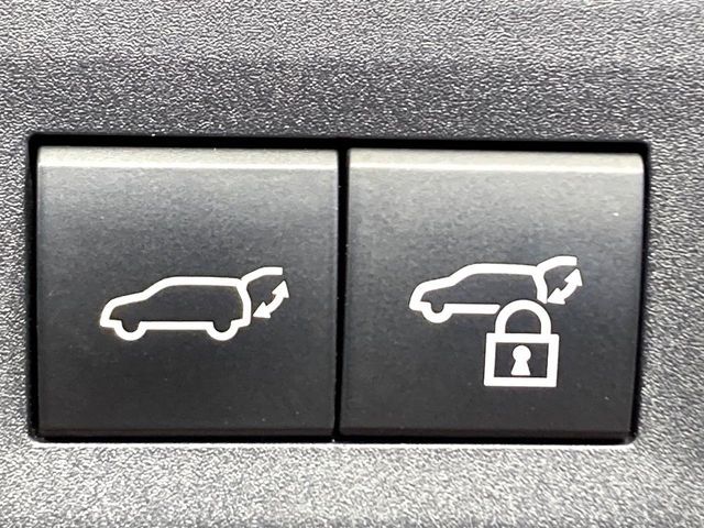 TOYOTA LEXUS NX350H 2023 Image 31