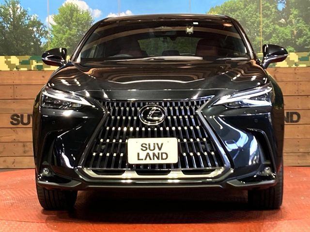 TOYOTA LEXUS NX350H 2023 Image 31