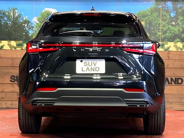 TOYOTA LEXUS NX350H 2023 Image 31