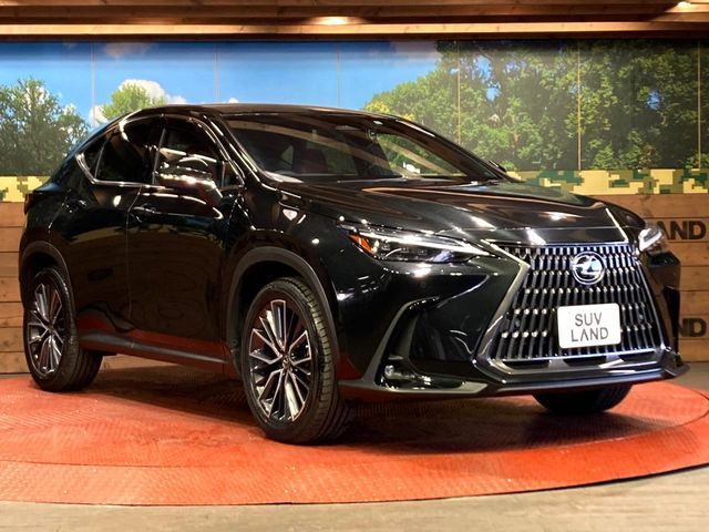 TOYOTA LEXUS NX350H 2023 Image 31