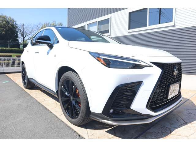 TOYOTA LEXUS NX350H AWD 2024 Image 31