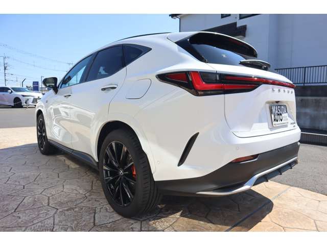 TOYOTA LEXUS NX350H AWD 2024 Image 31