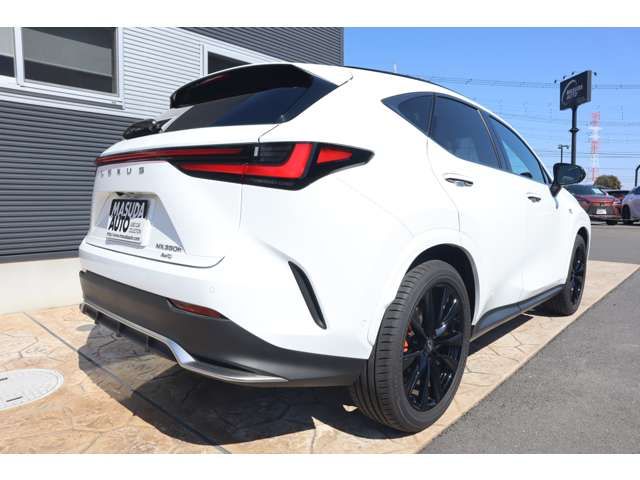TOYOTA LEXUS NX350H AWD 2024 Image 31