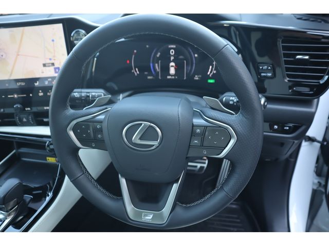 TOYOTA LEXUS NX350H AWD 2024 Image 31