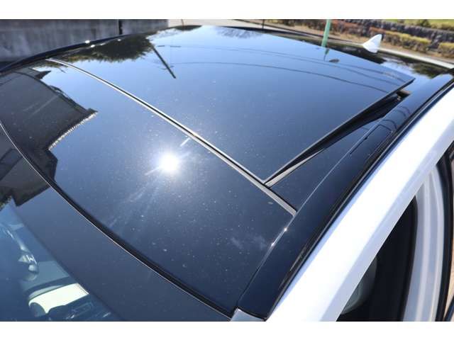 TOYOTA LEXUS NX350H AWD 2024 Image 31