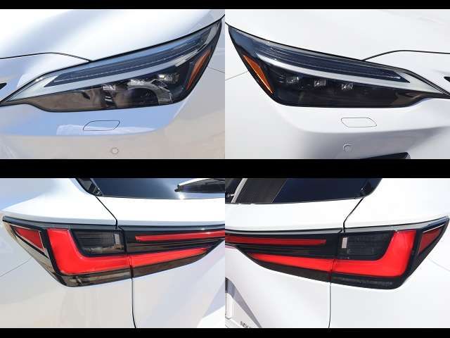 TOYOTA LEXUS NX350H AWD 2024 Image 31