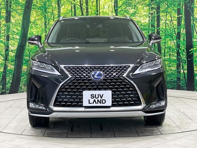 TOYOTA LEXUS RX450H AWD 2019 Image 31