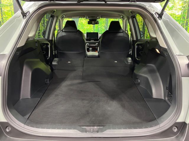 TOYOTA RAV4 4WD 2019 Image 31