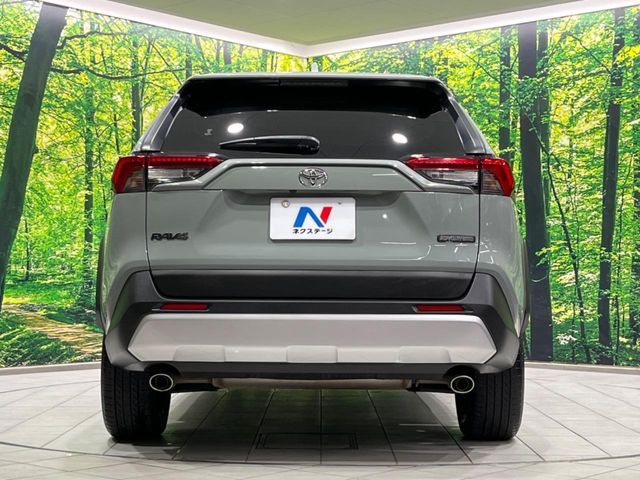 TOYOTA RAV4 4WD 2019 Image 31