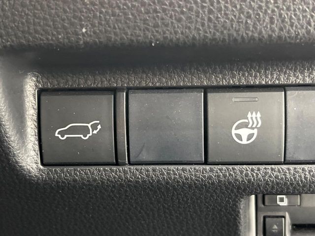 TOYOTA RAV4 HYBRID 4WD 2020 Image 31