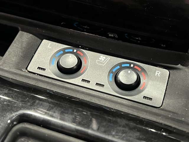 TOYOTA ALPHARD 2020 Image 31