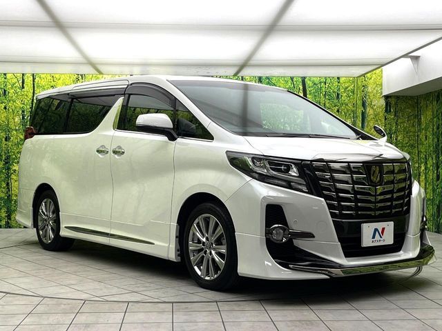 TOYOTA ALPHARD 2017 Image 31