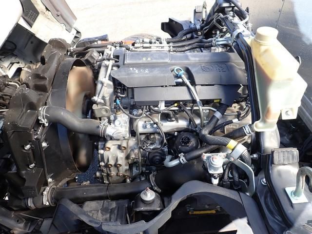 NISSAN ATLAS 2018 Image 31