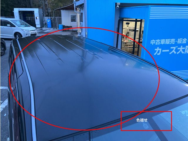 NISSAN SERENA  WG 2011 Image 31