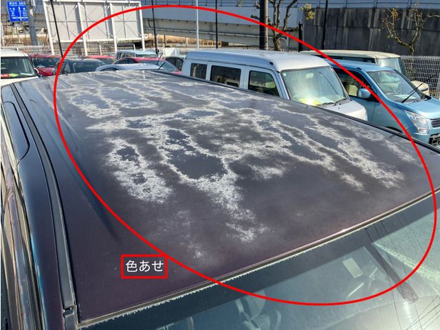 NISSAN SERENA  WG 2009 Image 31