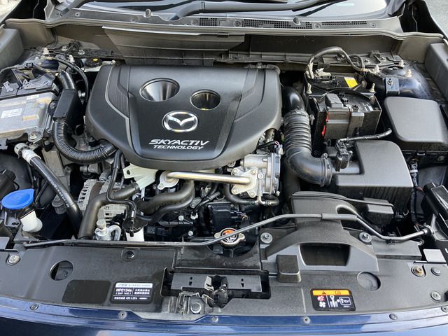 MAZDA CX-3 2016 Image 31