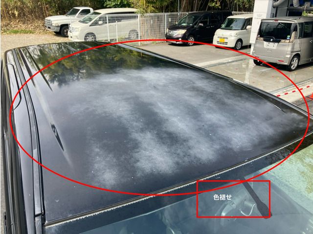 NISSAN SERENA  WG 2010 Image 31