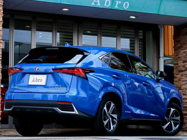 TOYOTA LEXUS NX300H 2020 Image 31