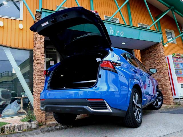 TOYOTA LEXUS NX300H 2020 Image 31