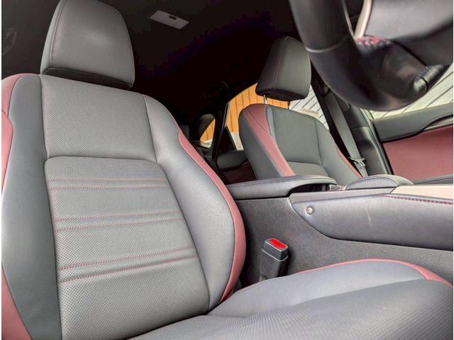 TOYOTA LEXUS NX300H 2020 Image 31