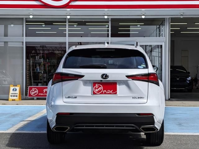 TOYOTA LEXUS NX300 AWD 2018 Image 31