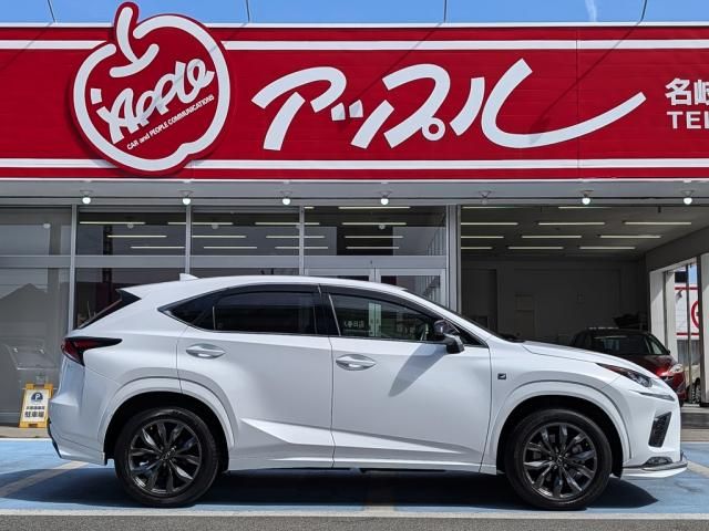 TOYOTA LEXUS NX300 AWD 2018 Image 31