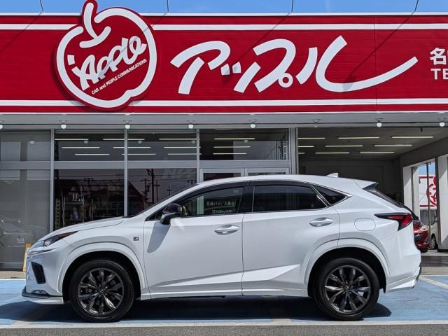 TOYOTA LEXUS NX300 AWD 2018 Image 31
