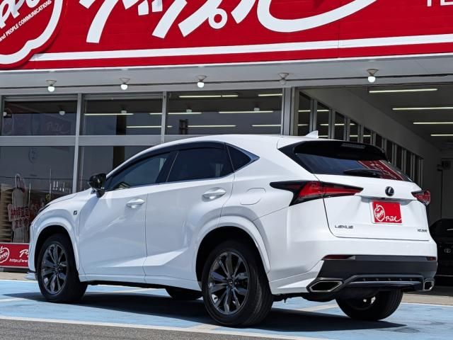 TOYOTA LEXUS NX300 AWD 2018 Image 31