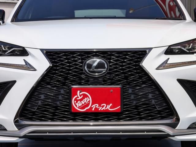 TOYOTA LEXUS NX300 AWD 2018 Image 31