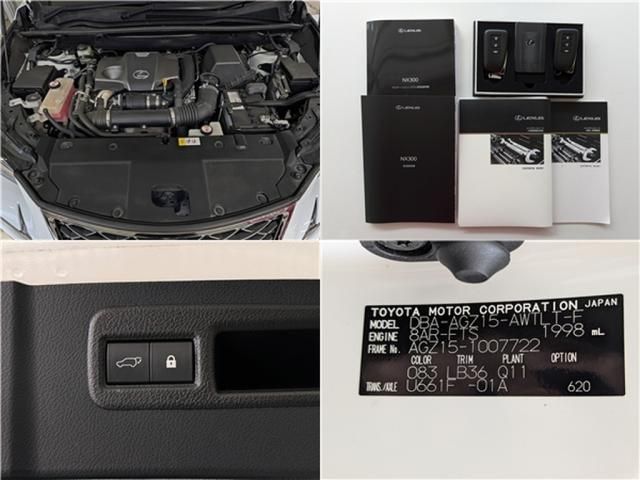 TOYOTA LEXUS NX300 AWD 2018 Image 31