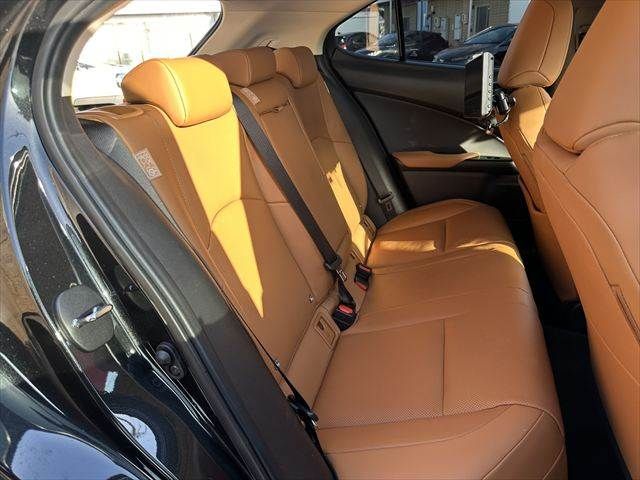 TOYOTA LEXUS UX300E 2021 Image 31