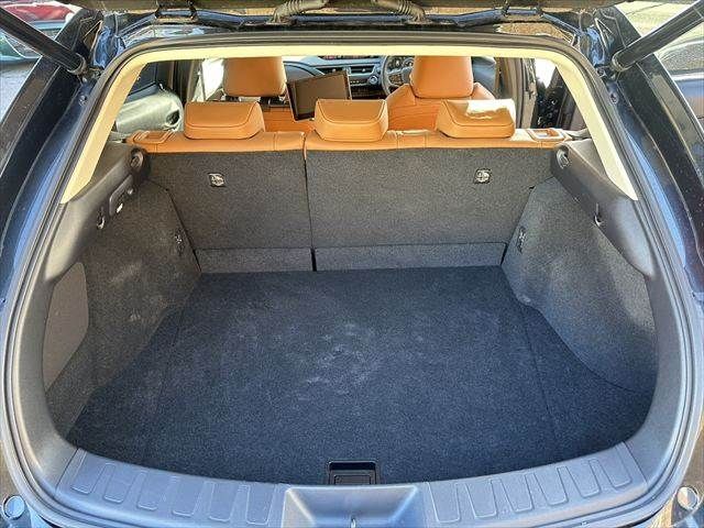 TOYOTA LEXUS UX300E 2021 Image 31