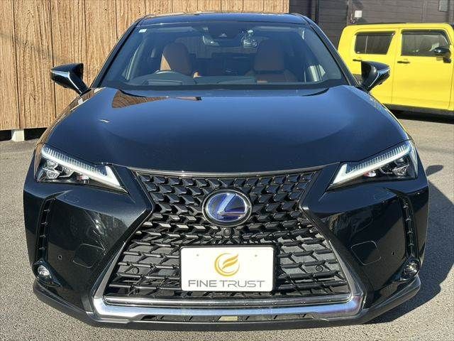 TOYOTA LEXUS UX300E 2021 Image 31