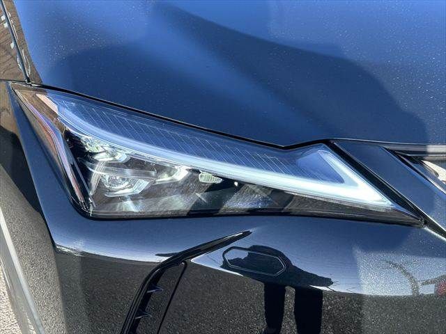 TOYOTA LEXUS UX300E 2021 Image 31