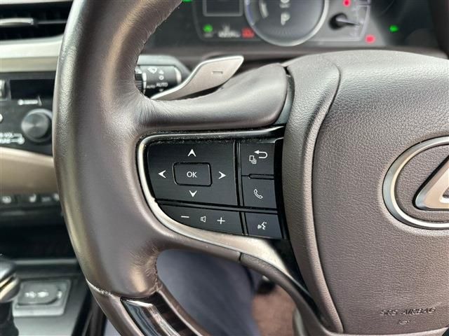 TOYOTA LEXUS ES300H 2019 Image 31