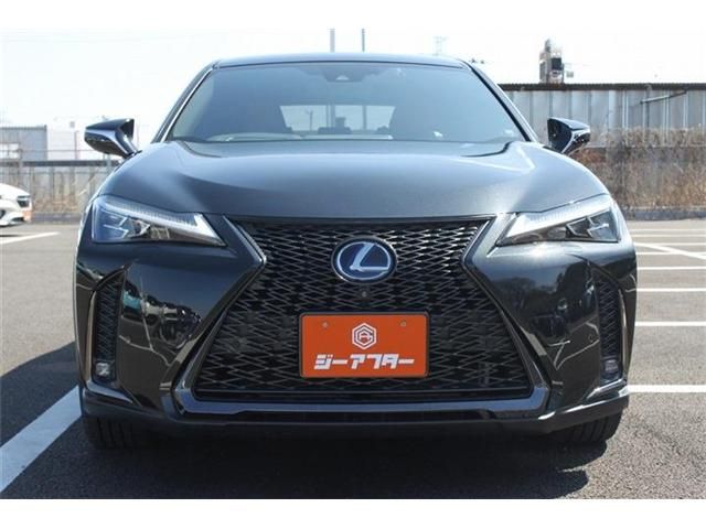 TOYOTA LEXUS UX250H 2019 Image 31
