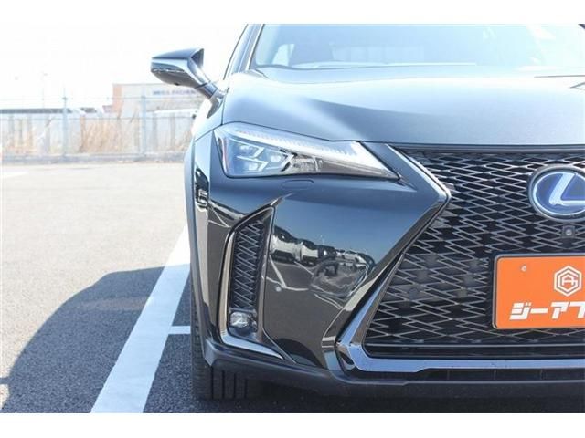 TOYOTA LEXUS UX250H 2019 Image 31