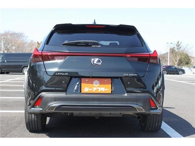 TOYOTA LEXUS UX250H 2019 Image 31