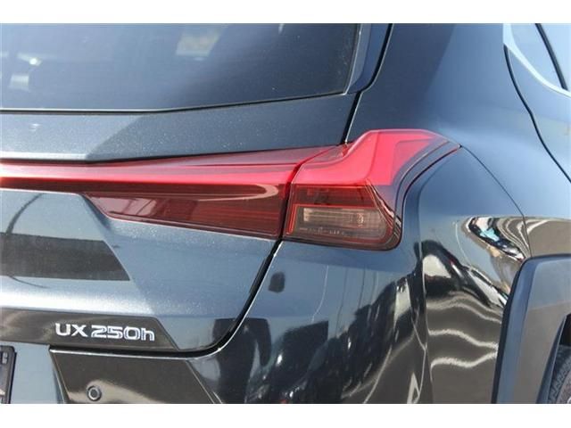 TOYOTA LEXUS UX250H 2019 Image 31