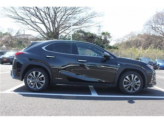 TOYOTA LEXUS UX250H 2019 Image 31