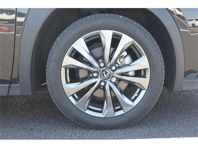 TOYOTA LEXUS UX250H 2019 Image 31