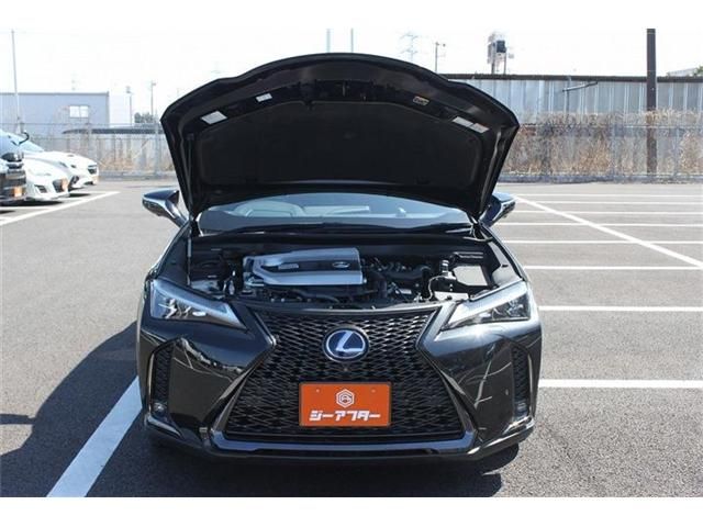 TOYOTA LEXUS UX250H 2019 Image 31