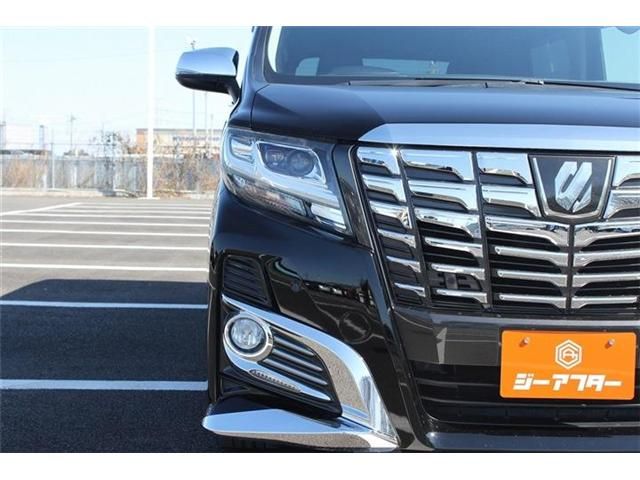 TOYOTA ALPHARD 2016 Image 31